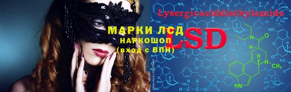 спиды Аркадак