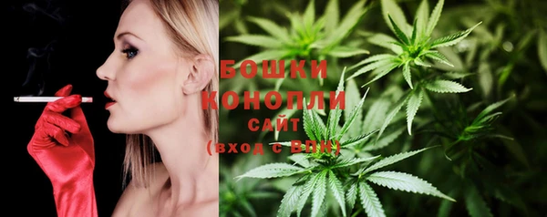спиды Аркадак