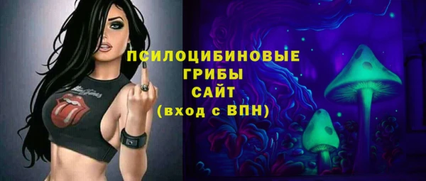 спиды Аркадак